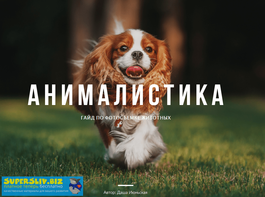 [Даша Июньская] Мнималистика. Гайд по фотосъемке ж_0.png